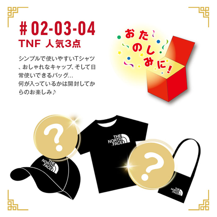 【福袋】ノースフェイス メンズ ダウンジャケット入り 4点セット