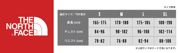 FOUNDATION GRAPHIC TEE Tシャツ メンズ | ノースフェイス |