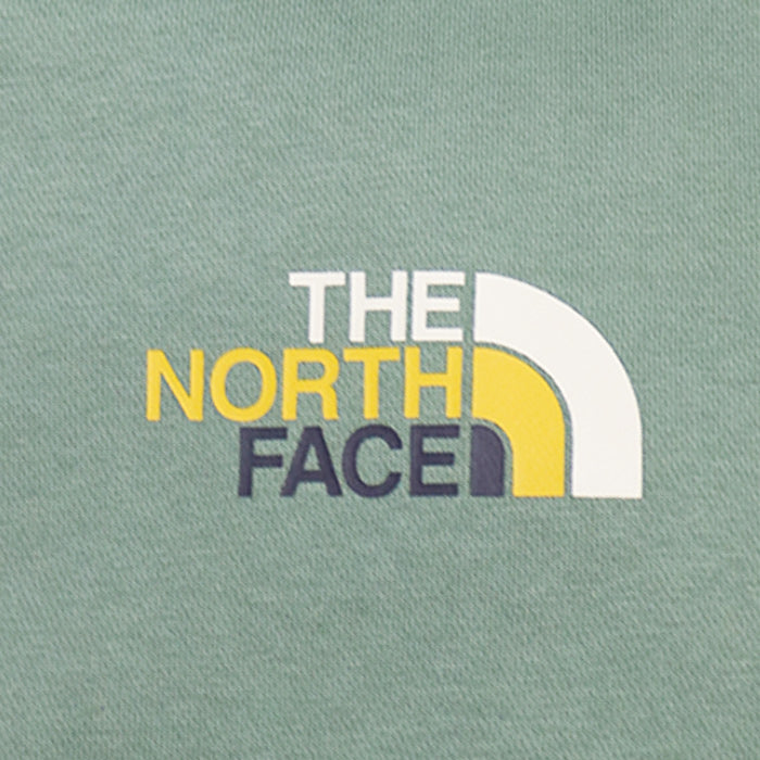 ユニセックス THE NORTH FACE ノースフェイス プルオーバー グリーン 裏起毛 基本ロゴ 刺繍ロゴ スウェットパーカー フーディー NF0A5AZI アウトドア 暖かい 肉厚 セミルーズフィット