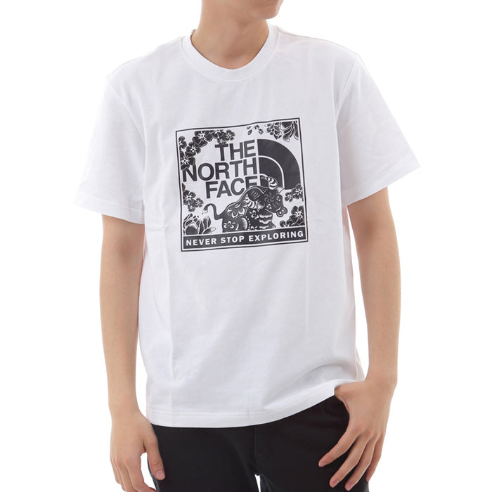 CNY BOX GRAPHIC TEE グラフィックTシャツ メンズ | ノースフェイス |